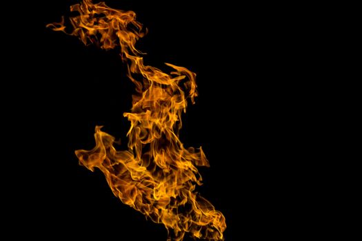 Fire patterns. Flames on a black background. Fiery patterns. Burning flame. Blazing fire. phoenix