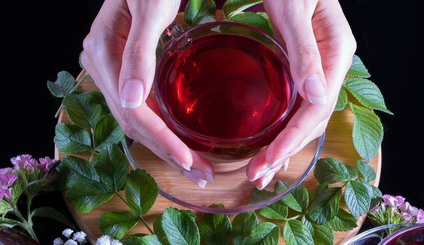 Women's hands hold a Cup of tea. Tea time: carcade, karkade, rooibos. Oriental, cozy, ceremony, tradition, japanese, leafy, hygge, autumn, 5 o'clock, afternoon tea, wreath of tea leaves