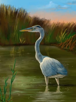 Blue heron fishing in a pond. Original digital painting.