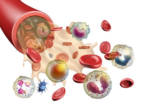 Different elements of human blood. 3d illustration.