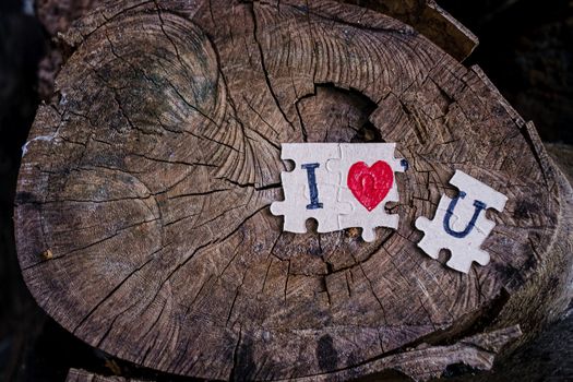 A picture of a paper jigsaw put on a tree stump and write that I love you