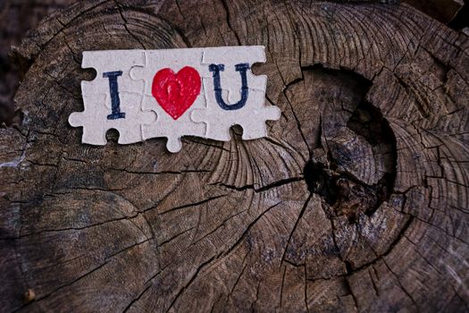 A picture of a paper jigsaw put on a tree stump and write that I love you