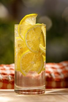 Citrus lemonade in garden setting,summer drink.