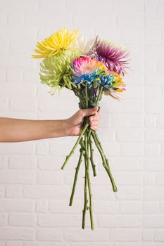 Colorful bouquet of flowers in female hand