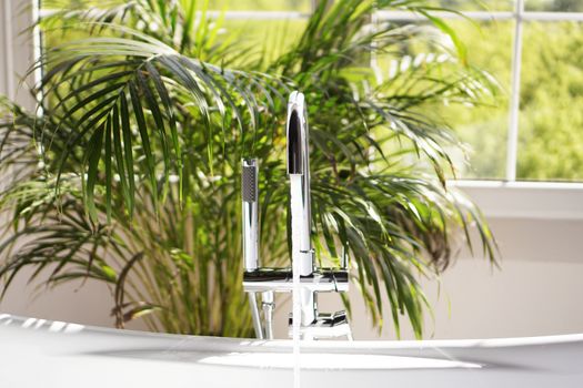 Modern bathroom. White bath with green palm branches. Bright room with sunlight from a large window. Water flows from a faucet