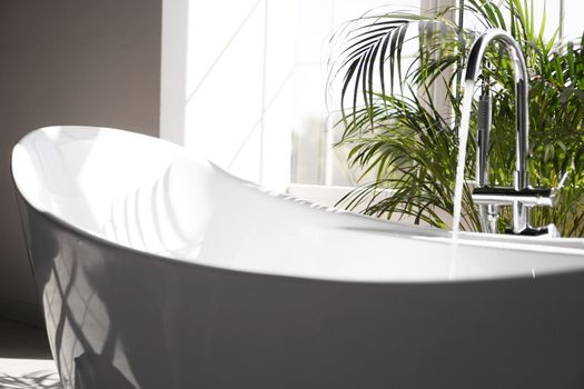 Modern bathroom. White bath with green palm branches. Bright room with sunlight from a large window. Water flows from a faucet