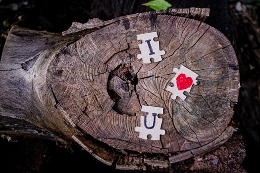 A picture of a paper jigsaw put on a tree stump and write that I love you