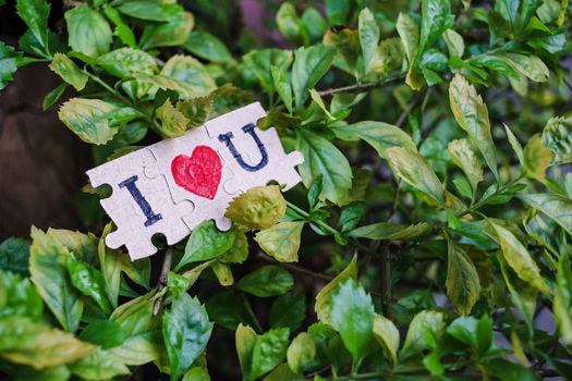 Paper jigsaw photos That lay on the leaf and that means I love you