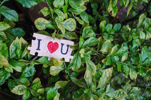 Paper jigsaw photos That lay on the leaf and that means I love you