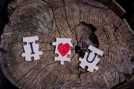 A picture of a paper jigsaw put on a tree stump and write that I love you