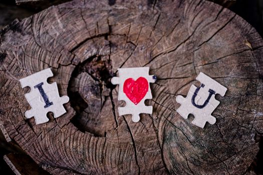 A picture of a paper jigsaw put on a tree stump and write that I love you