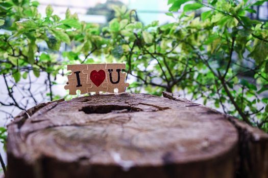 A picture of a paper jigsaw put on a tree stump and write that I love you