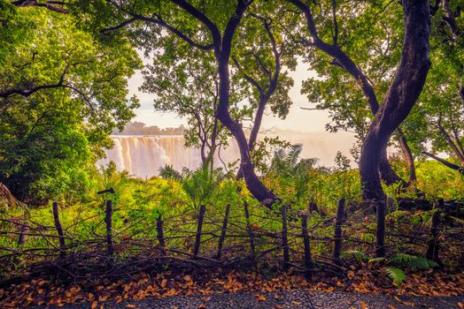 Victoria Falls on Zambezi River as seen from a trail in the rainforest surrounding the waterfalls.