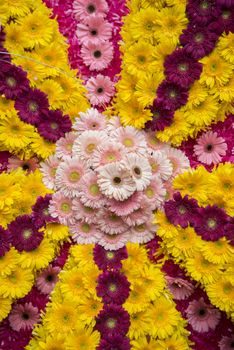 colorfull flowers at the Festa da Flor or Spring Flower Festival in the city of Funchal on the Island of Madeira in the Atlantic Ocean of Portugal.  Madeira, Funchal, April, 2018