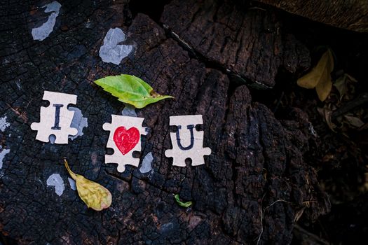 A picture of a paper jigsaw put on a tree stump and write that I love you