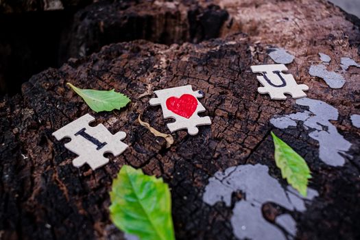 A picture of a paper jigsaw put on a tree stump and write that I love you