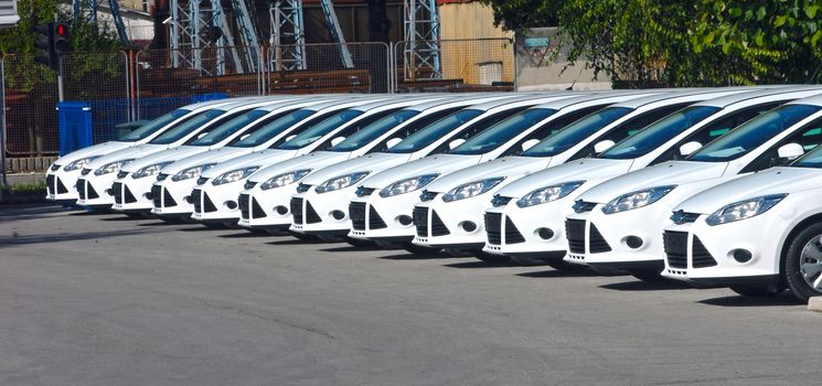 white cars are lined up in the parking lot in one line