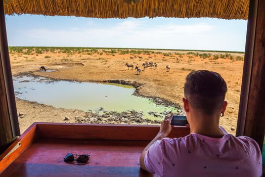 Tourist watches and films wildlife with a smartphone from a hide at the Olifantsrus waterhole in Etosha National Park, Namibia