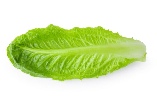 Cos Lettuce Isolated on a White Background.