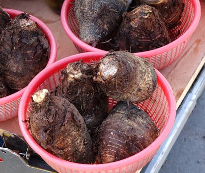 A market vendor sells large taro roots, a popular vegetable in Taiwan