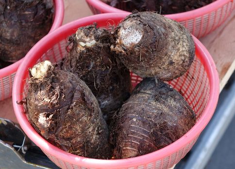 A market vendor sells large taro roots, a popular vegetable in Taiwan
