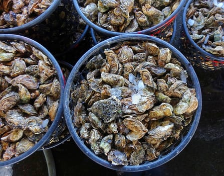 Large baskets full of oysters for sale at the fish market
