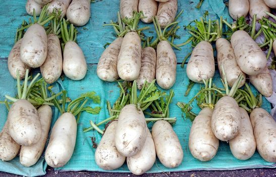 Chinese radishes or daikon for sale at a farmer market
