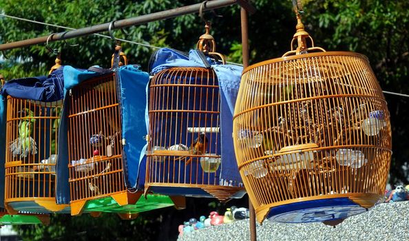 A street vendor sells birds in traditional bamboo cages
