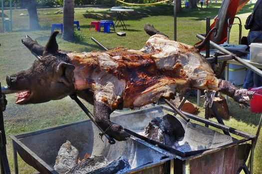 Traditional black haired pig barbecue in Taiwan 