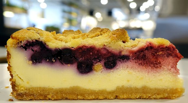 A rich and dense blueberry cheesecake with brumbs or streusel
