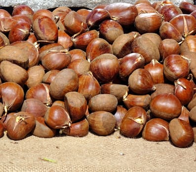 A vendor sells sprouting chestnuts outdoors
