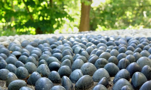Chinese health walk made up from large smooth pebbles