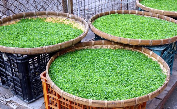 Finely chopped shallots or chives dry in the sun