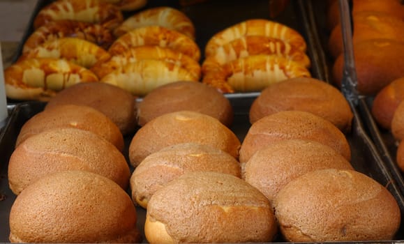 Freshly baked bread buns in a tray