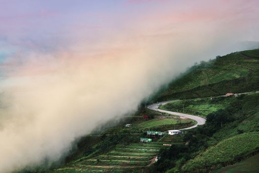 Beautiful Road summer landscape in the mountains with the sunset