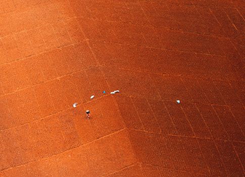 Top view. A farmer standing in his cornfield at sunset