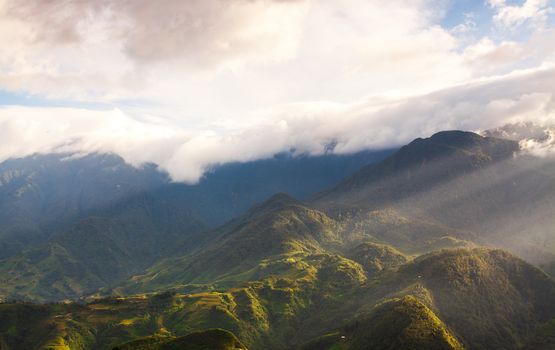 Beautiful summer landscape in the mountains with the sunset