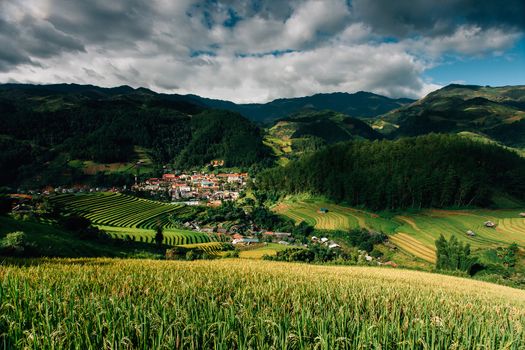 Rice fields on terrace in rainy season at Mu Cang Chai, Yen Bai