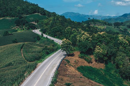 Beautiful Road summer landscape in the mountains with the sunset