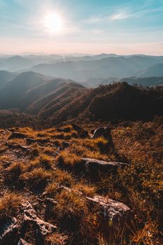 Beautiful summer landscape in the mountains with the sunset