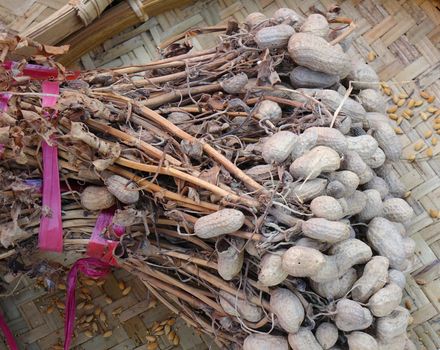 Dried peanuts or groundnuts the way they come out of the ground
