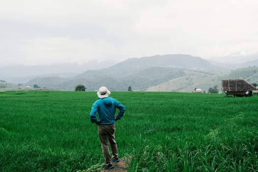 Young boy relaxing in green rice terraces on holiday