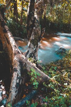 soft water of the stream in the natural park, Beautiful waterfall in rain forest