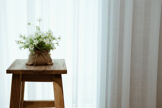 plant pot on wooden bar stool chair beside see through sheer window curtain