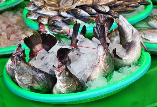 Fresh fish is being offered at an outdoor market