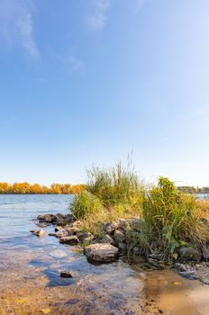 View of willows and reeds near the Dnieper River in Kiev in autumn. The shoreline is covered with sand. The transparent water allows you to see the peebles on the sandy bottom