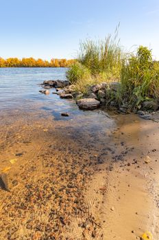 View of willows and reeds near the Dnieper River in Kiev in autumn. The shoreline is covered with sand. The transparent water allows you to see the peebles on the sandy bottom