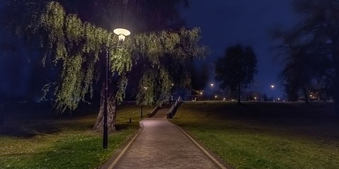 Viwe of the Natalka park of Kiev with an illuminated street lamp at night