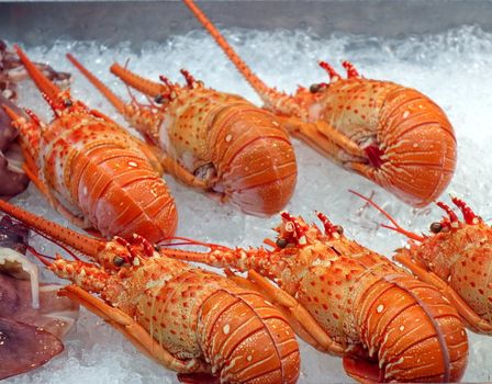 A street vendor sells fresh lobsters chilled on ice