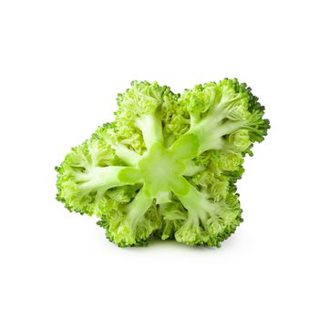 Fresh broccoli blocks for cooking isolated on white background.